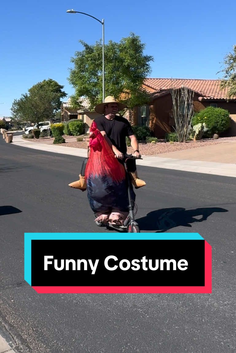 Hilarious Rooster Costume #roostercostume #spookyseason #halloween #TikTokShopFallDealsForYou #halloweencostumeidea 