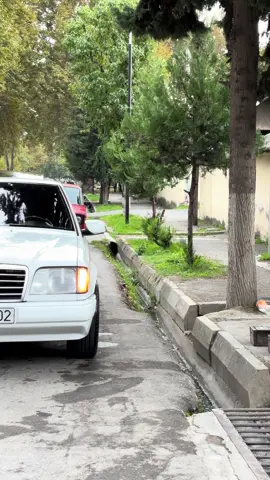 Atın baxaq maşınlarınıza 