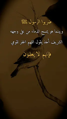 #عبارات #اقتباسات #اقتباسات_عبارات_خواطر ضربوا الرسول ﷺ وبينما هو يمسح الدماء من على وجهه الشريف أخذ يقول اللهم اغفر لقومي فإنهم لا يعلمون