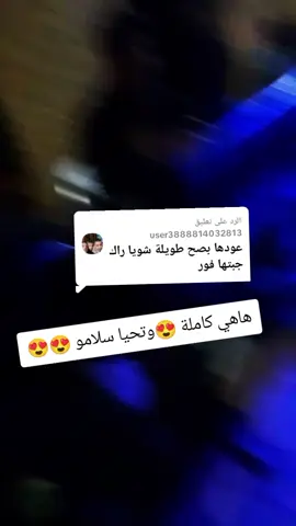 الرد على @user3888814032813 #بلجيكا🇧🇪_بروكسيل_المانيا_فرنسا_هولندا #تونس_المغرب_ #الجزائر🇩🇿 