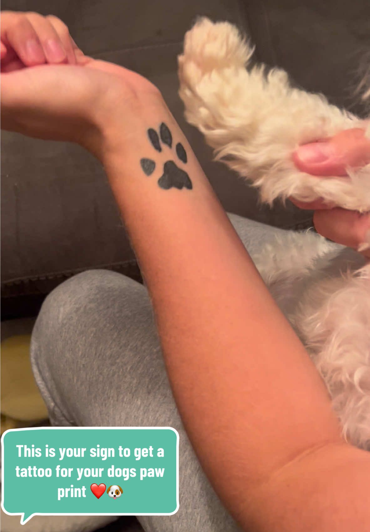 A piece of my heart, etched in ink and love 🐾❤️ #fyp #dog #tattoo #dogmom  