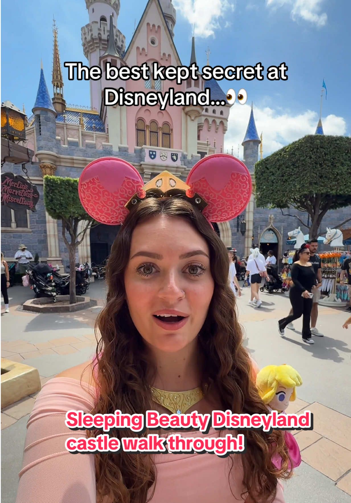 Sleeping Beauty Disneyland castle walk through! #disneyland #sleepingbeautycastle #princessaurora #disneycastle #sleepingbeauty 