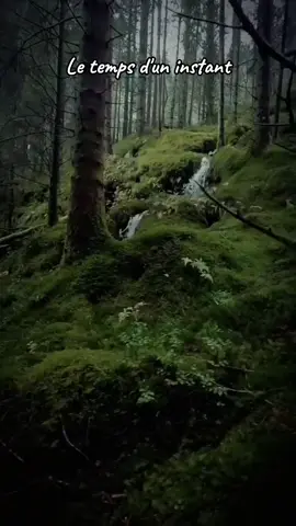 La nature est une prière sans mots, une paix sans fin #nature #spiritualite #zen #apaisant #calme 