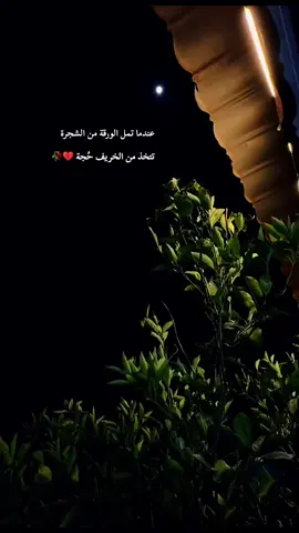 #عقاقير_هيثمية #هيثم_يوسف #اظلمتني #جيل_الثمانينات #جيل_السبعينات 