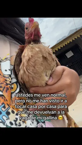 Jajaja no es mía es la bb de mi hijo 🫩❤️