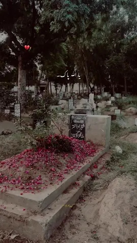 Ameen 🤲🏻😭 . . . . . @Miss you baba Jan 😭💔 @シMiss U Baba❤️‍🩹 #sadvibes🥀 #urduline #asdi_093 #for_you #fypppppppppppppp 