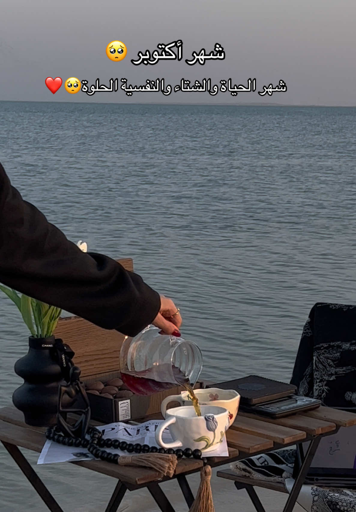 #الشتاء#جلسة_بالبحر#شهر_اكتوبر_الوقوع_بالحب#fyyyyyppppp #explore  