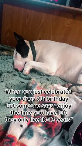 Lights out because wtf did you just say 😂😭🥺💔 #mydog #seniordogsoftiktok #darkhumorjokes 