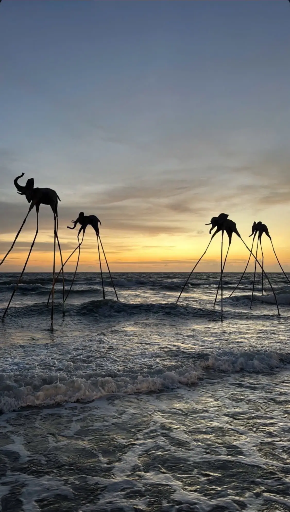 “Not fading, just waiting for someone to notice the colors.” #moingayvuilenmotchut