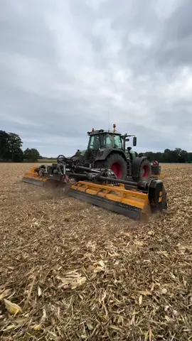 Fendt 930 TMS legends never die #fendt930tmsvario #maisernte2025  #werfendtfährtführt #onlyfendt 