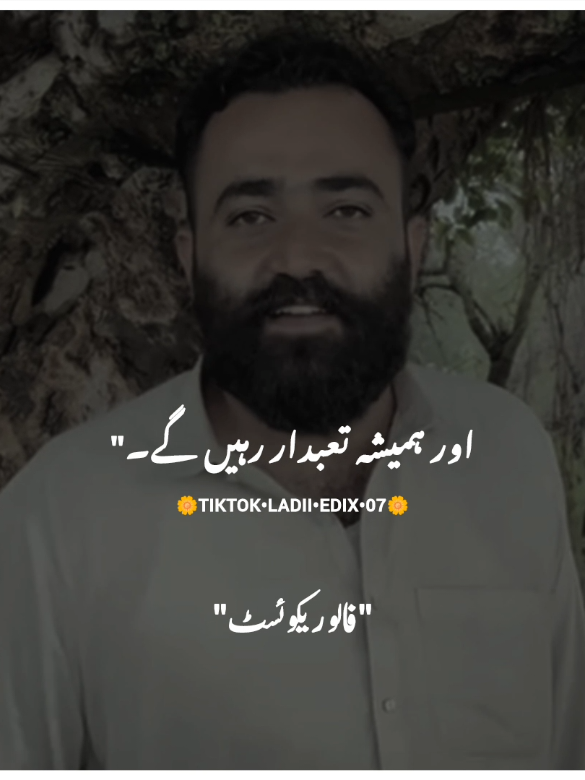 منافق کھلی ولی ❤️‍🩹😘✨ #foryou #foryoupage #burhan_tv #fyp #ladiiedix07 