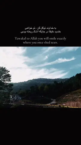 انءشاالله🌱 #day106 #fyp #foryoupagе #explore #اکسپلور 