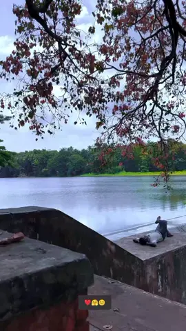 ഞാൻ എന്നെ ഏറ്റവും മനോഹരമായി കണ്ടത്,  അവളുടെ ഹൃദയത്തിൽ ആയിരുന്നു.... ❤️