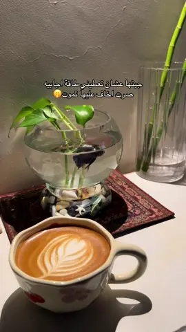 #اكسبلور #ترند #سمك_فايتر #المدينه #مالي_خلق_احط_هاشتاقات 