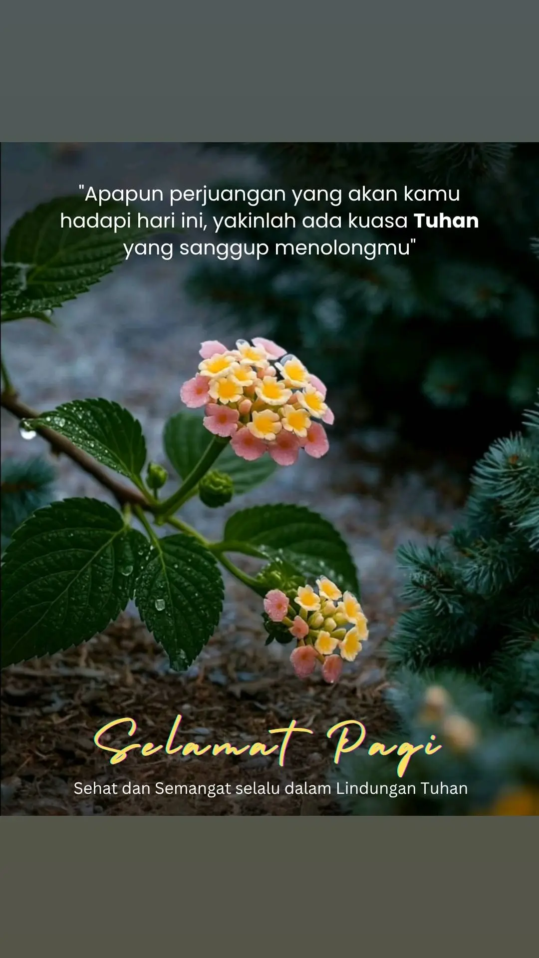 ▪️ ▪️ Rabu, 8 Oktober 2025  Selamat Pagi Selamat Beraktivitas  Tuhan memberkati kita ▪️ ▪️ ▪️ ▪️ ▪️ ▪️ ▪️ ▪️ ▪️ ▪️ ▪️ ▪️ ▪️ ▪️ #selamatpagi  #selamatpagisemua  #goodmorning  #semangatpagi💪👌  #selamatpagidunia  #pagipagipastihappy  #mengasihituhan #tetapsemangat  #salamsehat  #salamsejahtera #damaisejahterabagimu  #salambahagia  #jalanpagi  #olahragapagihari  #renunganpagi  #movitasihidup  #motivasipagi  #katabijakkehidupan  #katabijakpagi  #quotepagi  #saatteduhhariini  #berdoa #bersyukur  #selalubersyukur  #bersukacita  #bersukacitalahsenantiasa  #tuhanbesertakita  #tuhanyesusmemberkati  #godblessyou  #selaluberdoa #beritakeselamatan  #beritasukacita  #coverlagurohani #musikrohani  #nyanyianmazmur  #coverlagurohani #musikrohani  #nyanyianmazmur  #katamotivasikehidupan  #katabijakmotivasi  #ucapanmudoamu  #doakuharapanku  #ceritainspiratif  #berpikirpositif  #pantangmenyerah #kuasatuhan  #rabu #harirabu  #rabupagi 