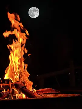 مساء القمراء مساء الخير ..#الشعب_الصيني_ماله_حل😂😂 #ترندات_تيك_توك #مالي_خلق_احط_هاشتاقات🧢 #اكسبلورexplore #المملكة_العربية_السعودية 