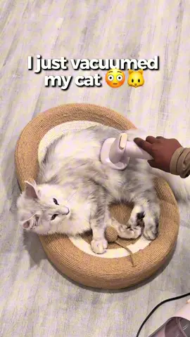 This has been a game changer!!!! #petvacuum #petgrooming #tiktokshopfalldealsforyou #tiktokshopcreatorpicks #dogshedding 