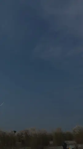 Kashful bagan ta kothay ?#fypage #fyppppppppppppppppppppppp #viralvideo 