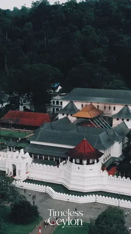 සිරි දළදා රැකවරණයි 🙏  Explore the spiritual serenity of Sri Dalada Maligawa (Temple of the Sacred Tooth Relic) in Kandy, Sri Lanka. A UNESCO World Heritage Site, this iconic Buddhist temple houses the sacred tooth relic of Lord Buddha, drawing millions of pilgrims and travelers from around the world. Experience its timeless architecture, peaceful ambiance, and deep cultural significance through this stunning view.#daladamaligawa #srilanka #travel #temple #vibe 