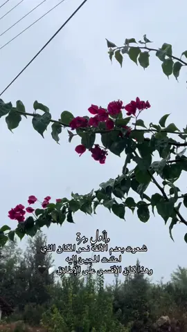 لأول مرة شعرت بعدم الالفه نحو المكان الذي اعتدت المجيئ اليه 🪽🖤. #اقتباسات #عبارات #stitch #تصميم_فيديوهات🎶🎤🎬 #fyp 