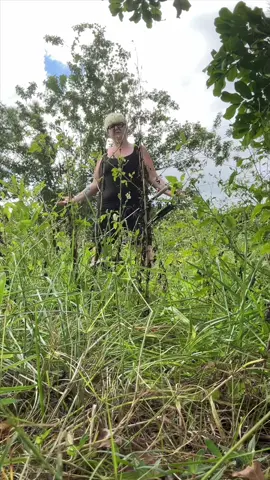 #fyp #fypシ #foryou #foryoupage #lawncare 