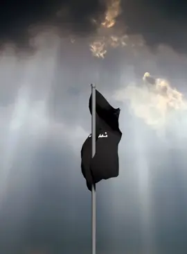 #موطني💋💋💋#paratiiiiiiiiiiiiiiiiiiiiiiiiiiiiiii #standwithkashmir #MemeCut #san 