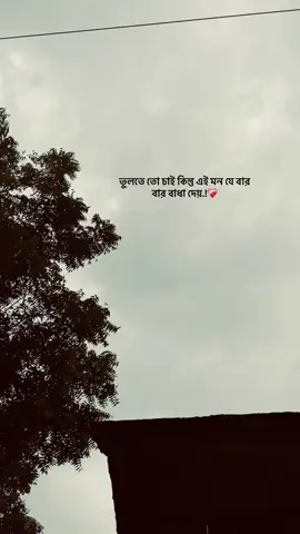 ভুলতে তো চাই কিন্তু এই মন যে বার বার বাধা দেয়.!❤️‍🩹#foryoupage #500kviews #sadvedio #putul🤍m🧸 #fyppppppppppppppppppppppppppppppppppppシ 