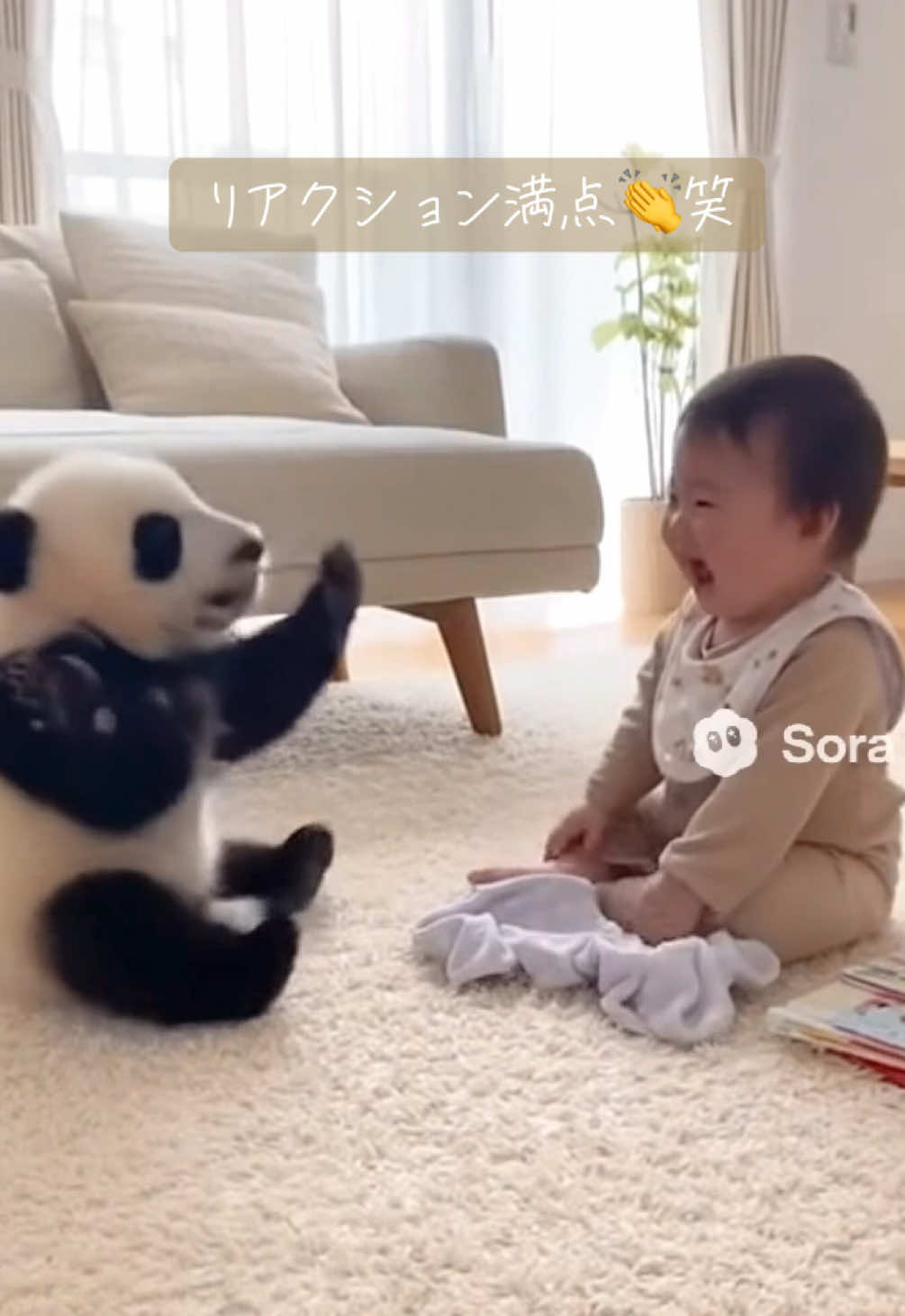 いないいないばぁが最近のマイブーム🐼✨　#赤ちゃん #赤ちゃんのいる生活 #パンダ #babytiktok #panda 