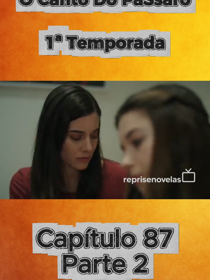 1ª temporada O Canto do Pássaro #NovelaTurca #DramaTurco #tiktoknovelas #ocantodopassaro #yalicapkini