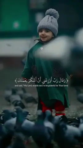 An-Naml | Islam Sobhi #allah #zeealquran #القران_الكريم  ‎‏#quran #اسلام_صبحي 