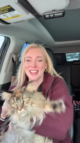 Bad Bunny playing at the superbowl has everyone up in arms as a Latina who speaks Spanish I don’t understand him either 😆 @Bad Bunny #latina #funny #humor 