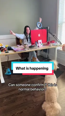 Please let me know #taylorswift #thelifeofashowgirl #swiftie #married @SweatingatNapTime 