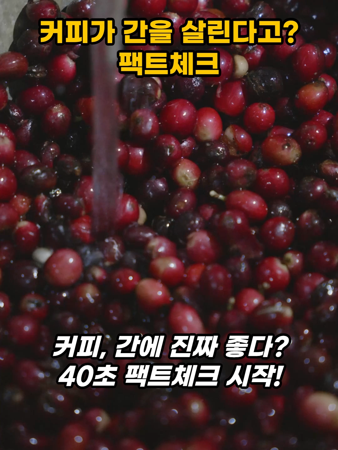 커피가 간을 살린다고? 팩트체크 400mg이나?@,.@   #커피 #아메리카노 #에스프레소 #카페인