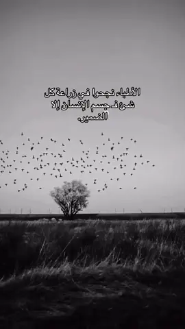 متخيل انت 🤫 #fyp #viral #تصميمي #تصميم_فيديوهات🎶🎤🎬 #منشن_اللي_تحبه 