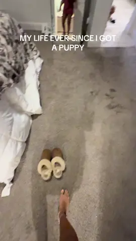 My shoes will never know peace..  #dogmomlife #cavapoopuppy 