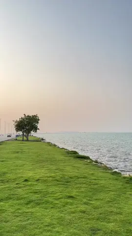 #بحر_الراكه_الشرقيه_الخبر 🤍🤍.