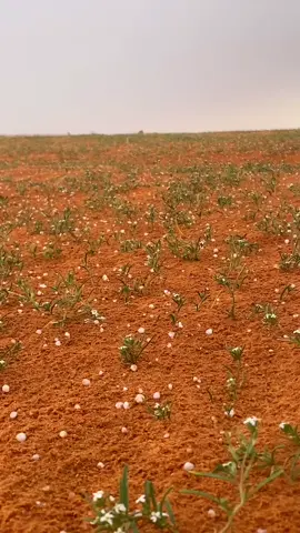 😴⛈️#الشتاء🎻🎼 #الامطار 