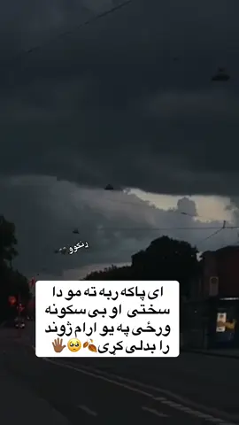 #پشتون_تاجیک_هزاره_ازبک_زنده_باد🇦🇫🦁 