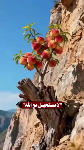 #لامستحيل مع الله