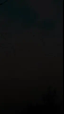 #CapCut #طمني #عبدالله_رويشد #stories🤍ستوري #طيور 