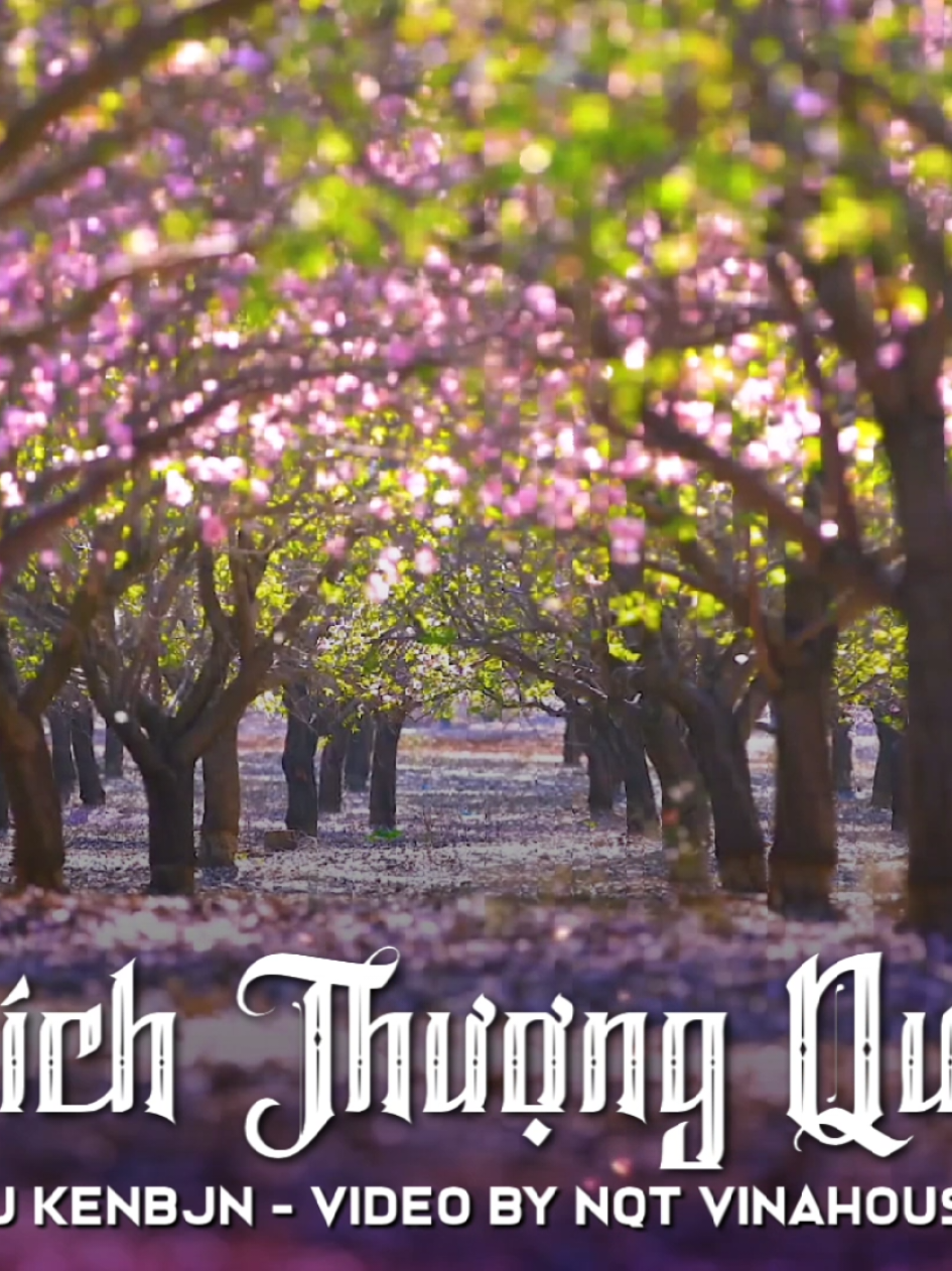 Bích Thượng Quan (壁上观) - DJ KenBjn - NQT Vinahouse #bichthuongquan #壁上观 #djkenbjn #nqtvinahouse #nhachottrendtiktok2025 