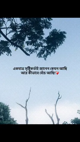 একমাত্র সৃষ্টিকর্তাই জানেন কেমন আছি আর কীভাবে বেঁচে আছি!❤️‍🩹 #foryou #banglacaption #sadcaption #emotionalvideo #fyp 
