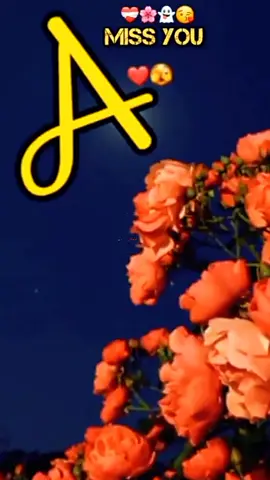 #bilkul💯❤Mari_jaan😘 #a_love_status♥️♥️🥰💫❤❤❤❤ #foryou_ #foryou_ #for_page_viral_vedio_100k_veiw👑💞 
