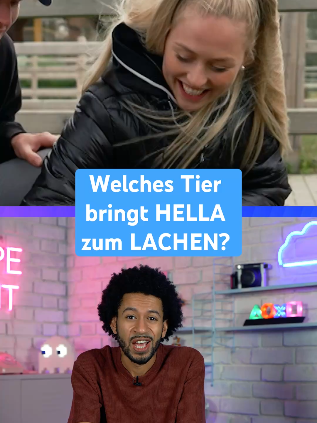 Was ist euer Lieblingstier? 🐷#fyp #toggo #hellagabbert #tiere