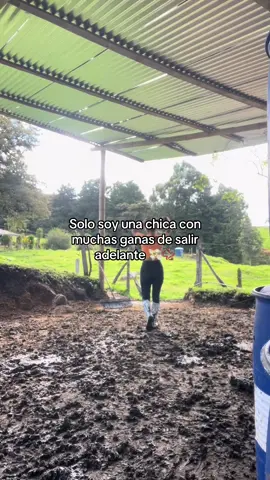 Mi calma para el alma y la mente!🐞🩷 #fyp #greenscreen #paratiiiiiiiiiiiiiiiiiiiiiiiiiiiiiii #contenido #ganaderia 