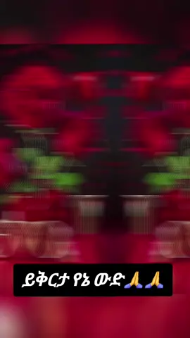 #ይቅርታ የኔ ውድ#ፍቅር➻ብቻ🖇ፍቅር➻ብቻ❤🥀🔐 