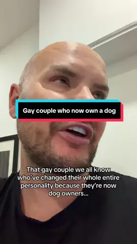 Gay couple with new dog #gay #britishhumour #uktok #dogowner #hunsnet 