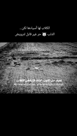 #المنفرد #🐺🖤🏴 