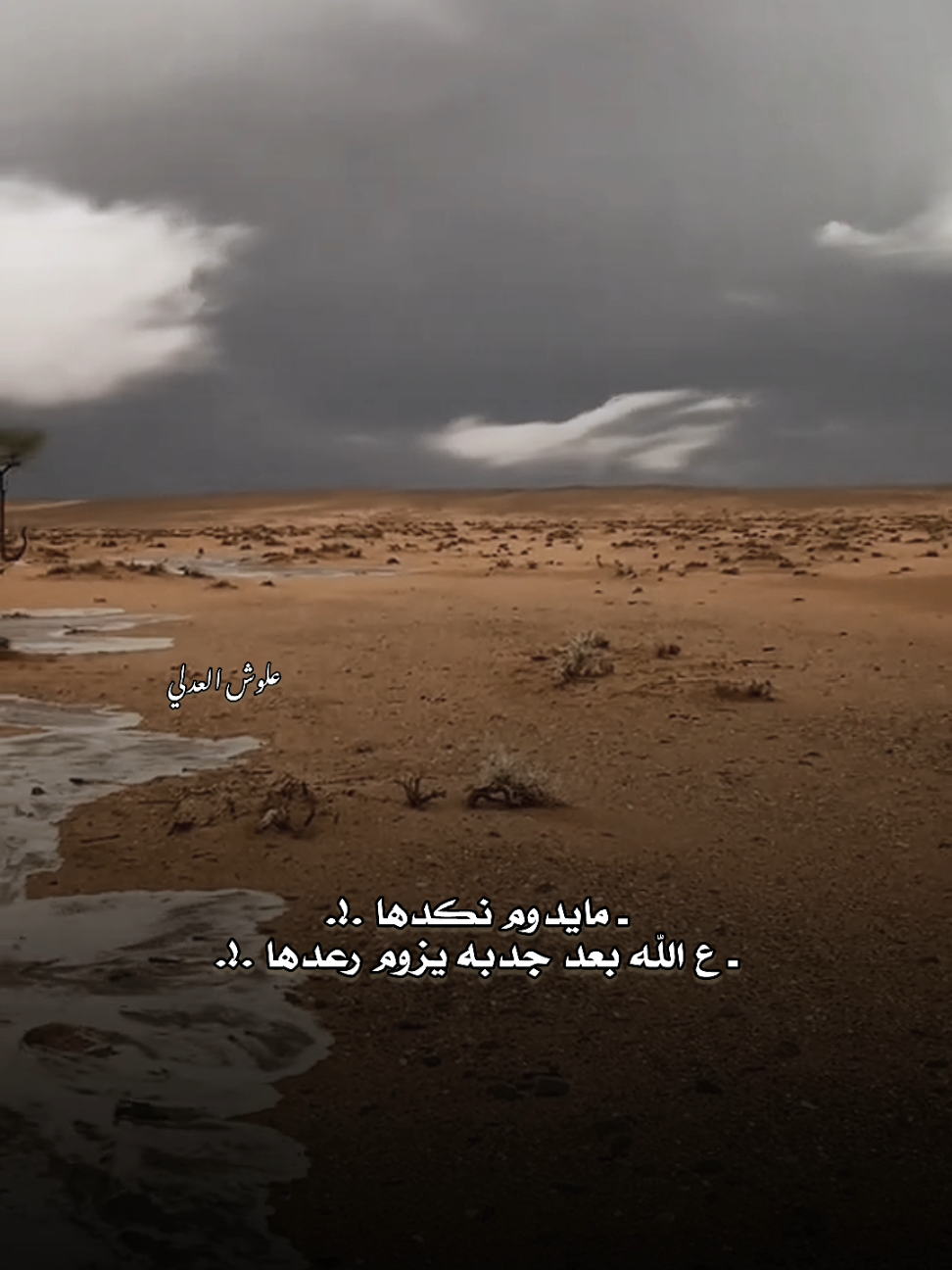 مَطـر خيـر انـ شـاء الله🤍. #علوش_العدلي #شعر_ليبي #شتاوي #تصميم_فيديوهات🎶🎤🎬 
