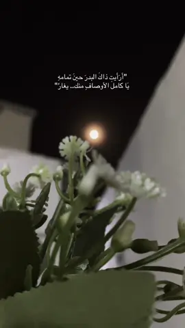 #اكسبلورexplore 